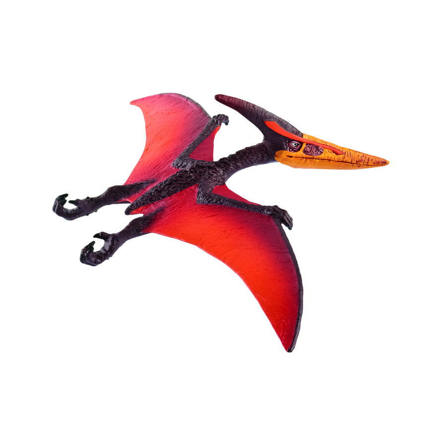 Pteranodonte 15008 - Clicca l'immagine per chiudere